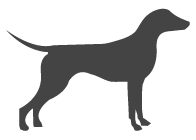 Hundeschule Wilde Hilde